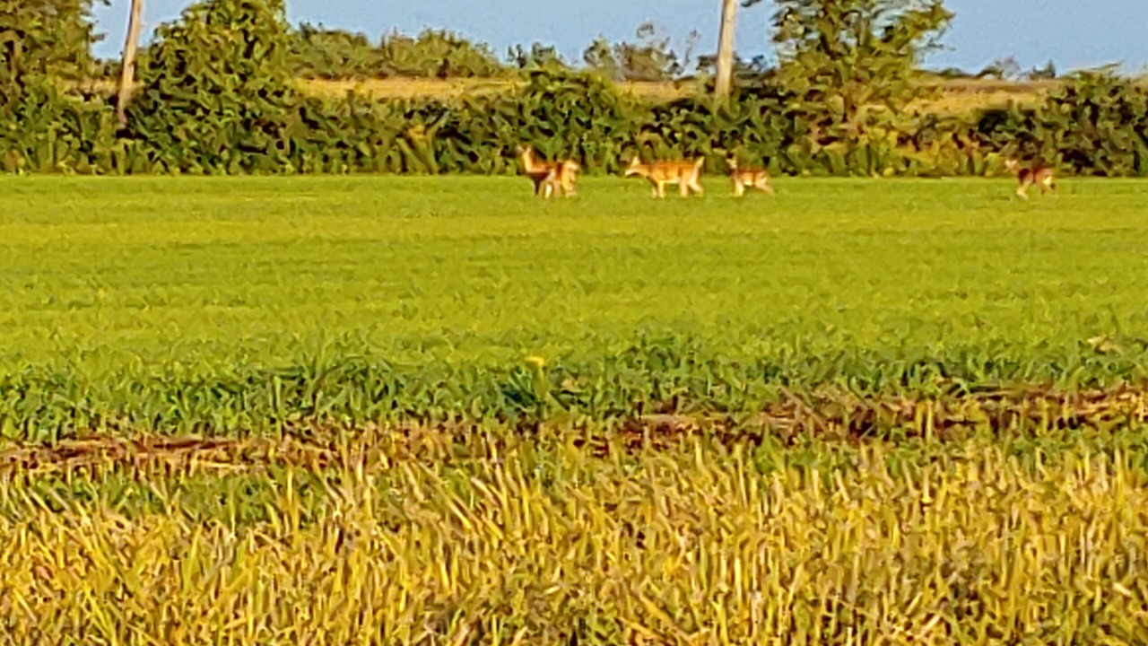 Photo of Others in Richfield Springs