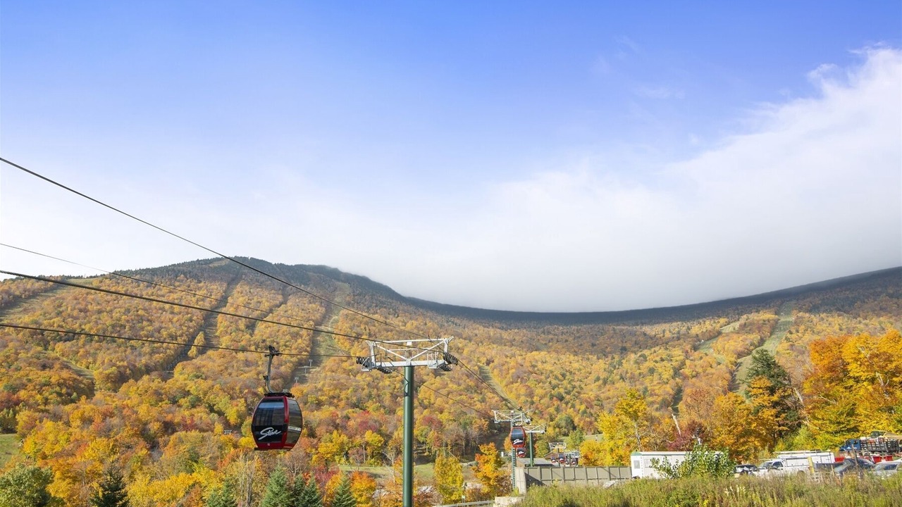 Photo of Outdoor in Stowe Area