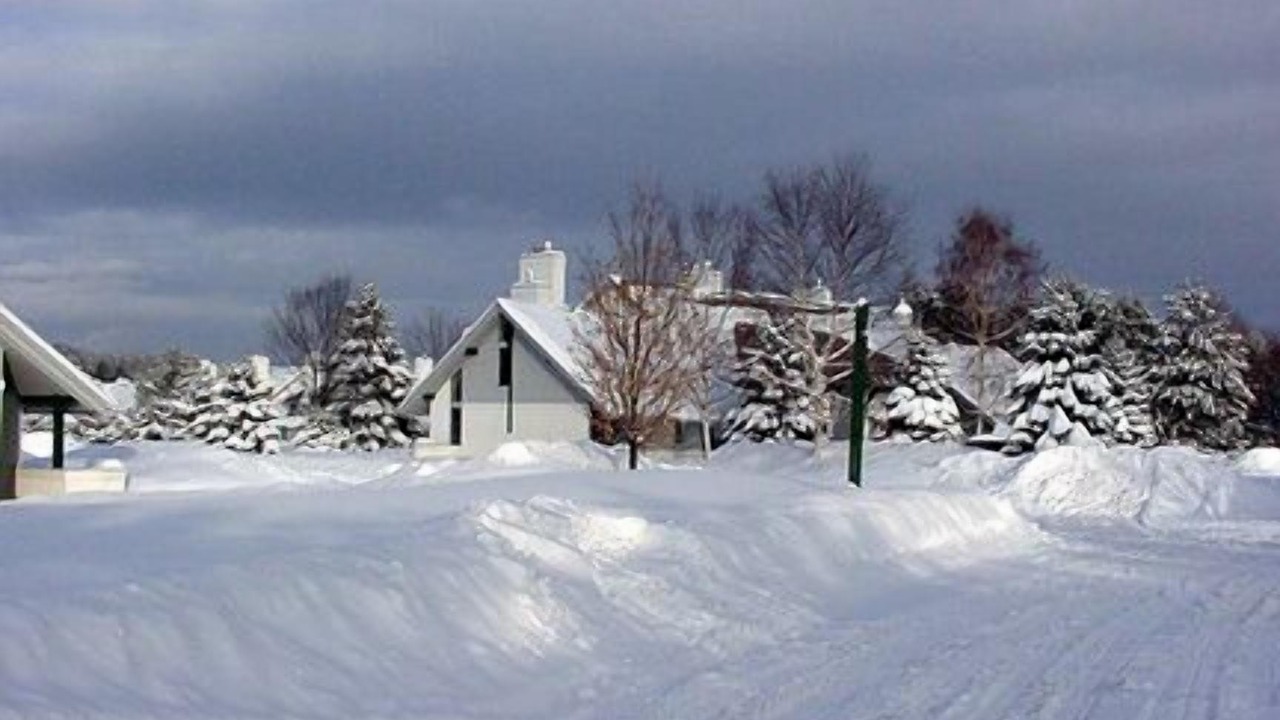 Photo of Others in Stowe Area