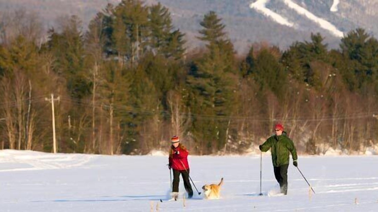 Photo of Others in Stowe Area