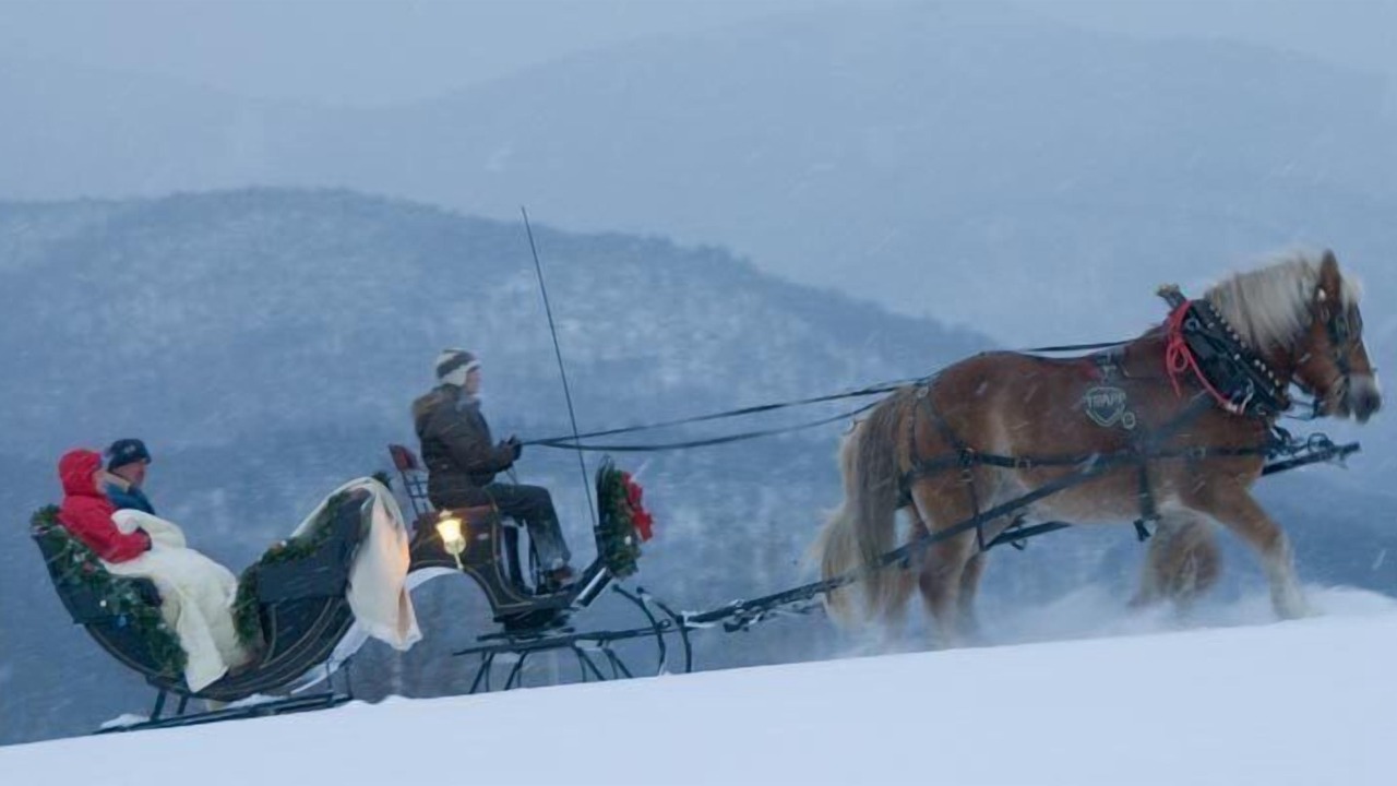 Photo of Others in Stowe Area