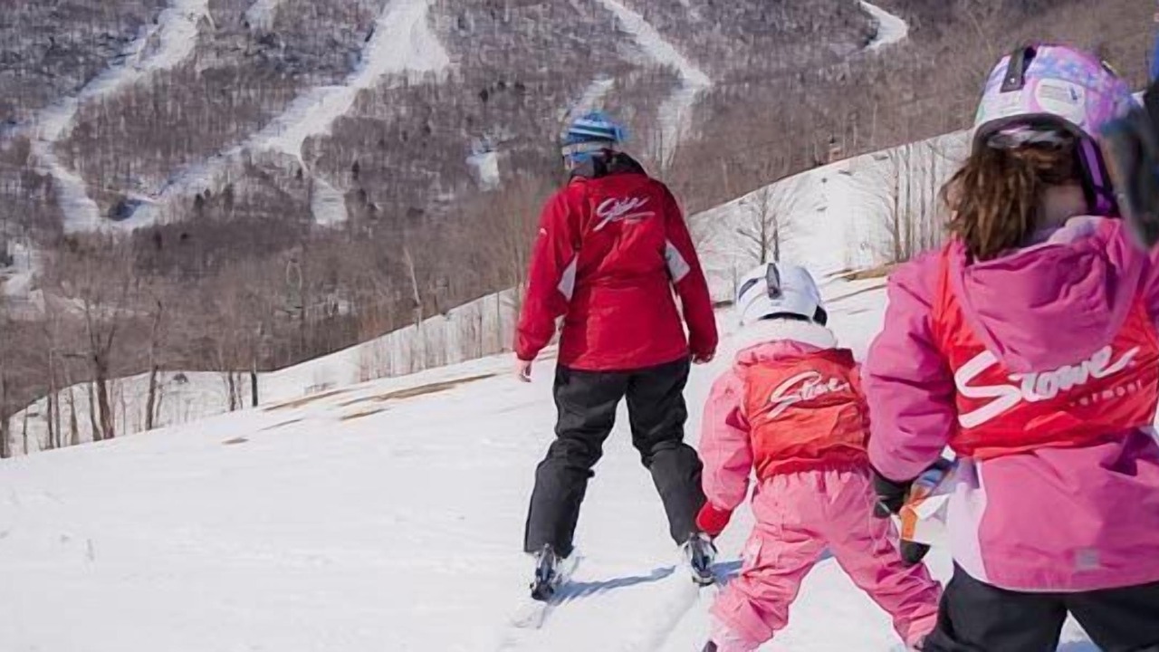 Photo of Others in Stowe Area