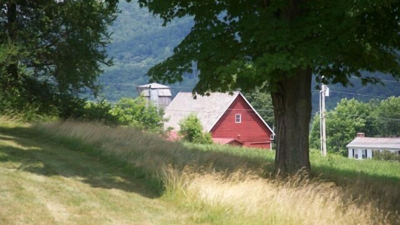 Photo of Others in Danby