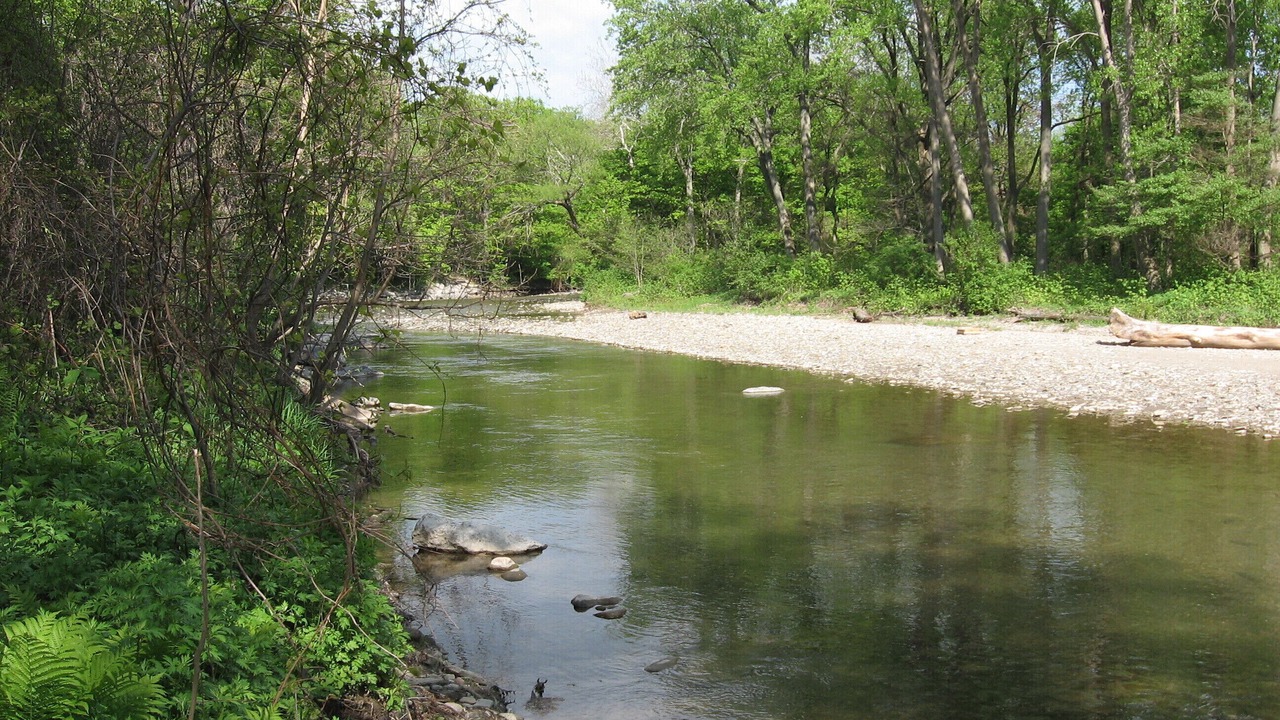 Photo of Others in Chautauqua County