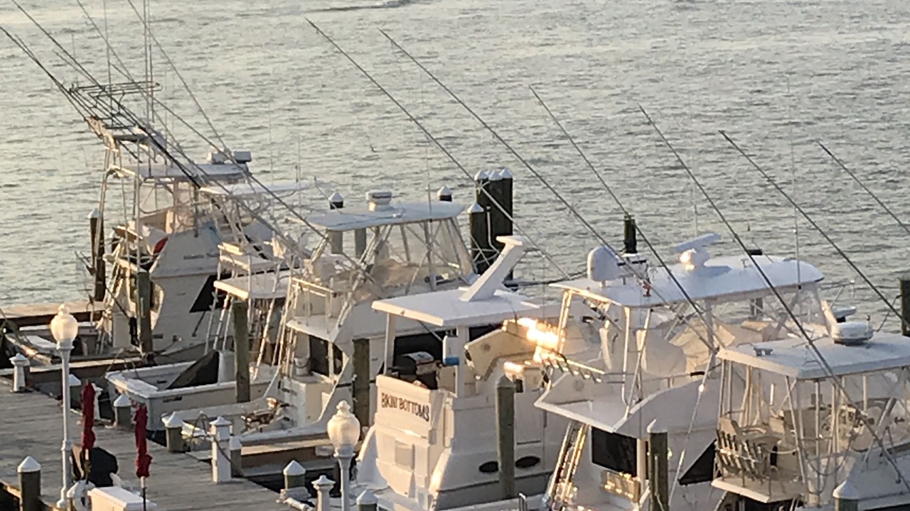 Photo of Others in Ocean City