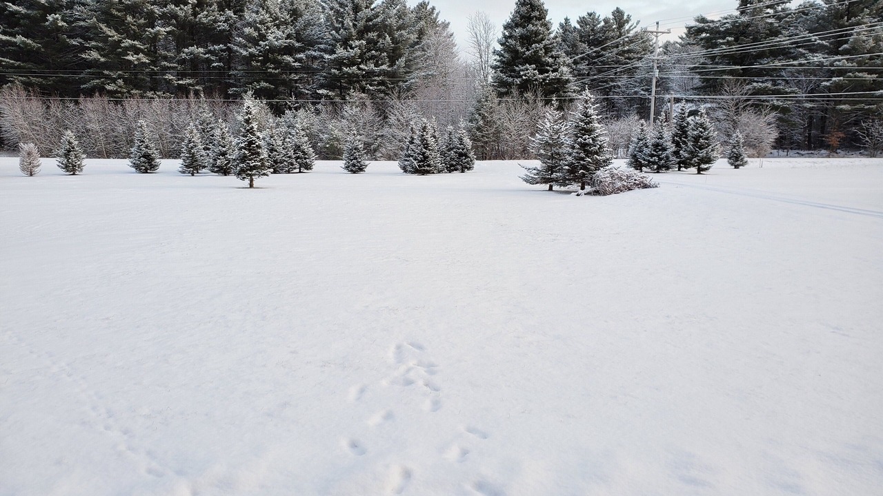 Photo of Outdoor in Morrisville
