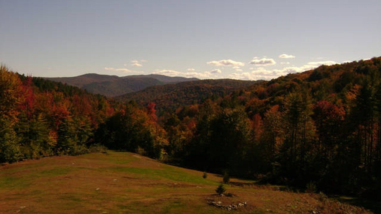 Photo of Others in Bethel