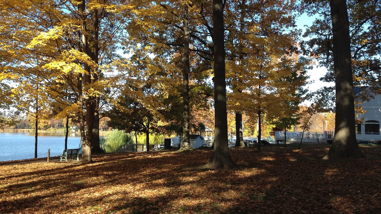 Photo of Outdoor in North Rose