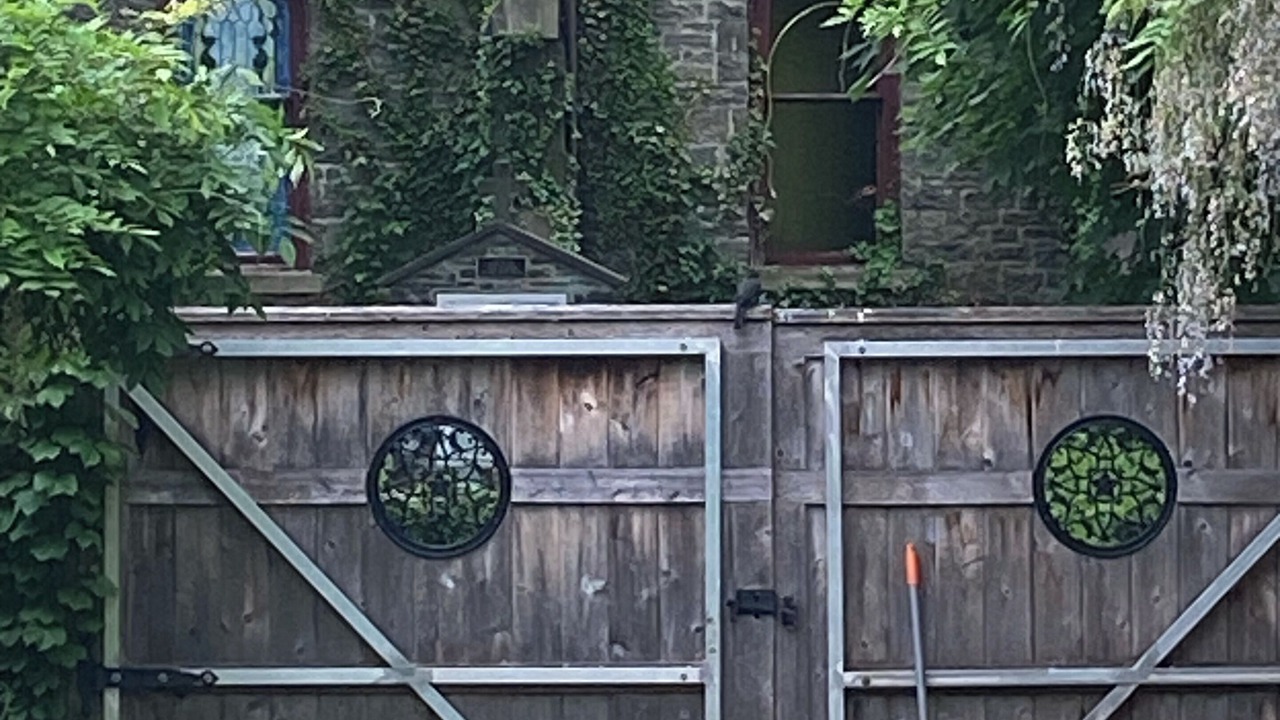 Photo of Outdoor in Kingston