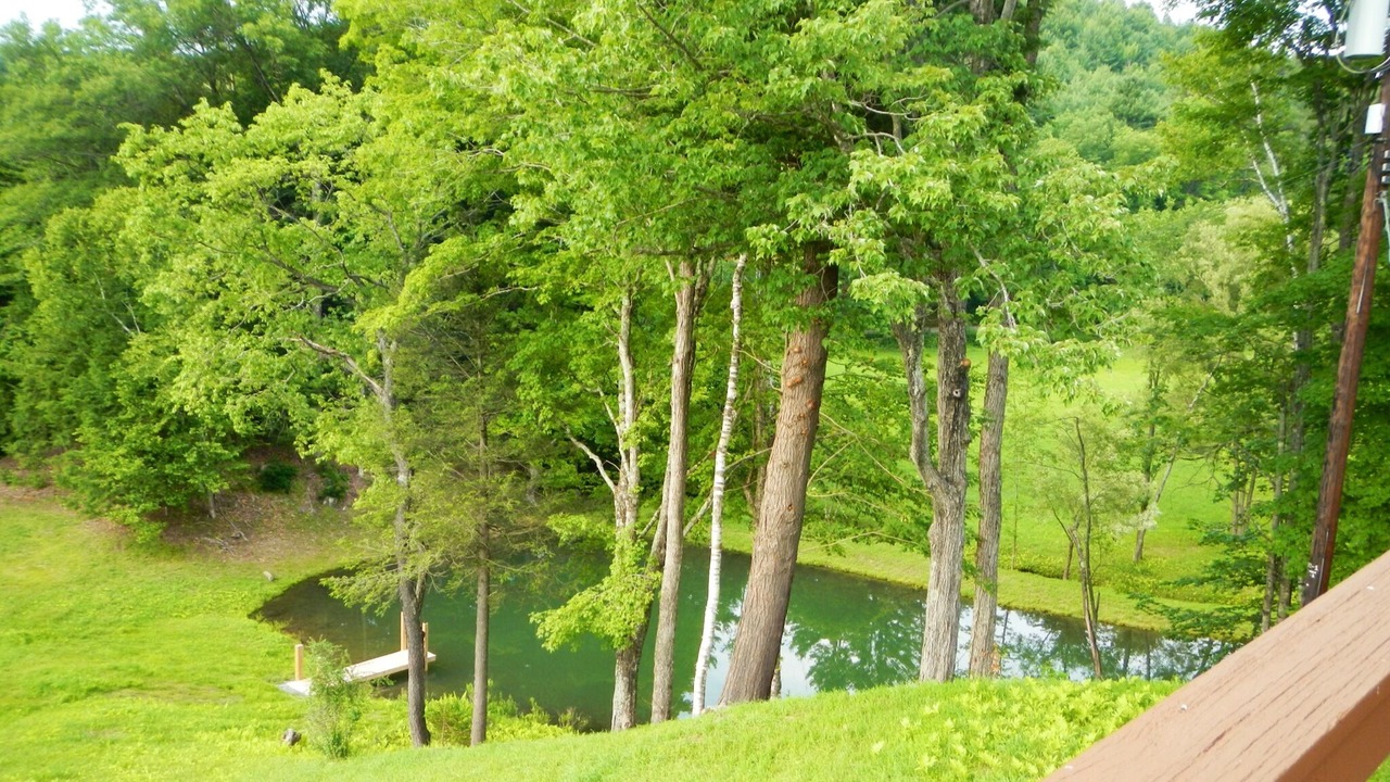 Photo of Others in Woodstock