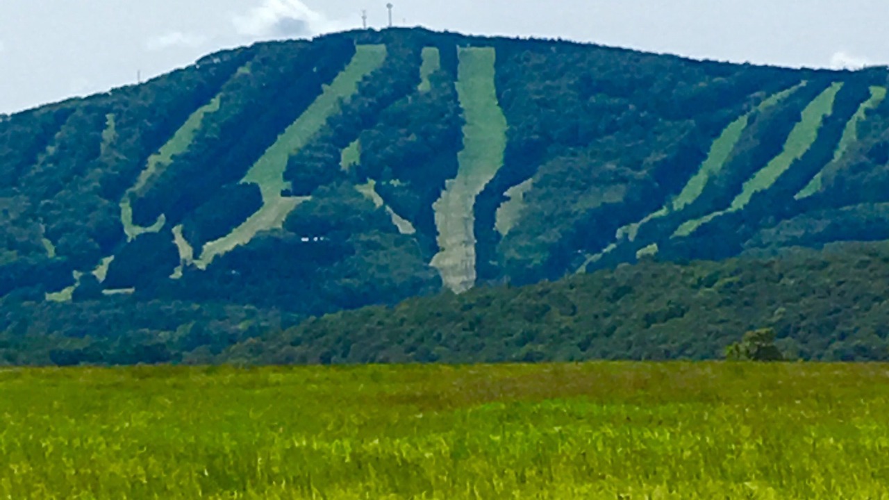Photo of Outdoor in Union Dale