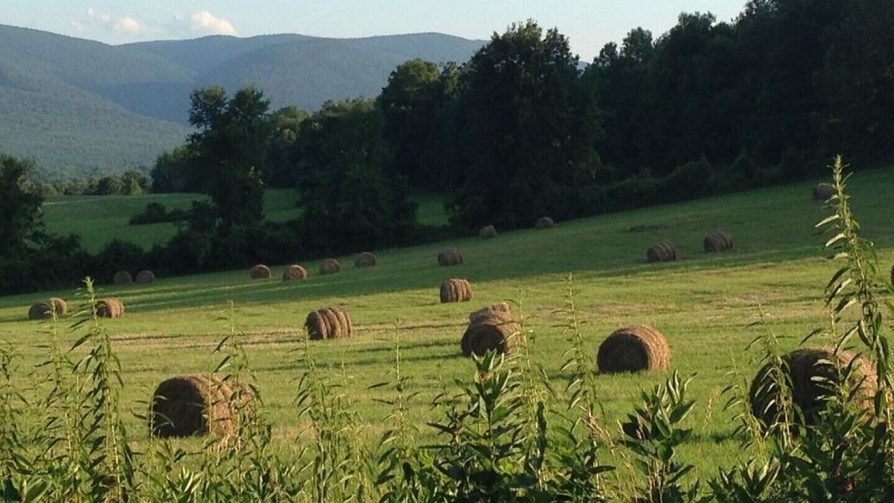 Photo of Outdoor in Manchester Center