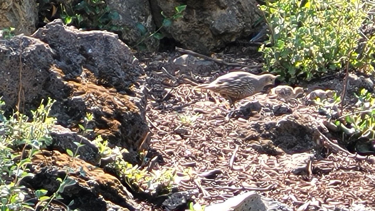 Photo of Outdoor in Westbrook Meadows