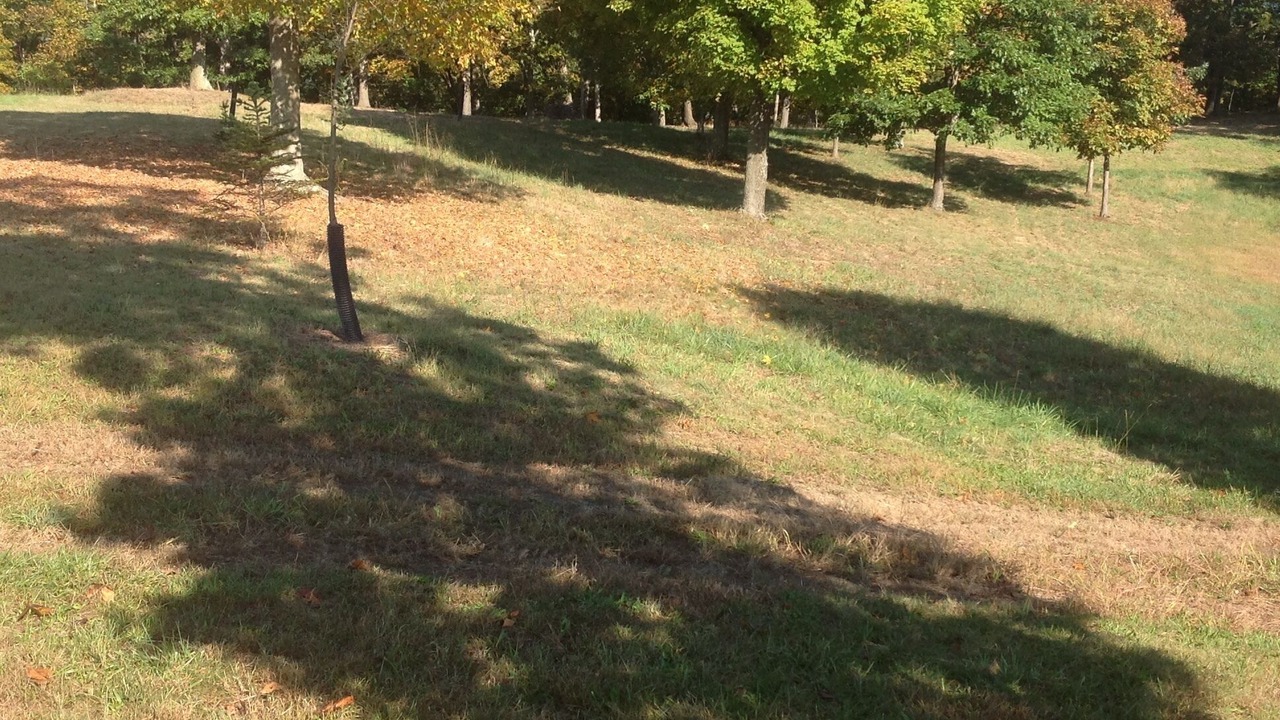 Photo of Outdoor in Cumberland