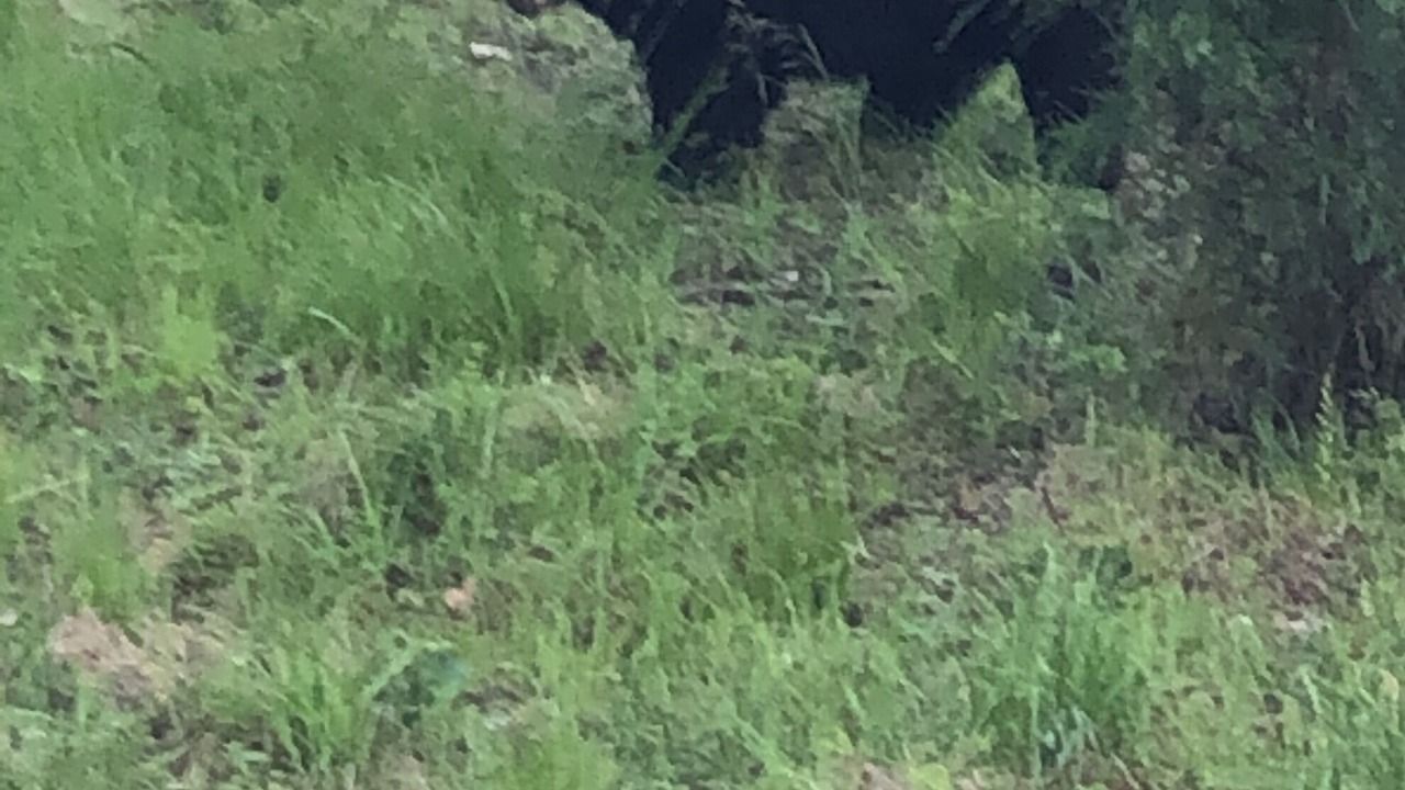 Photo of Outdoor in Franklin