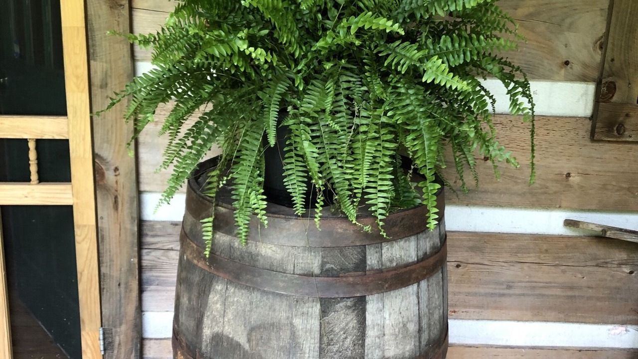 Photo of Outdoor in Franklin