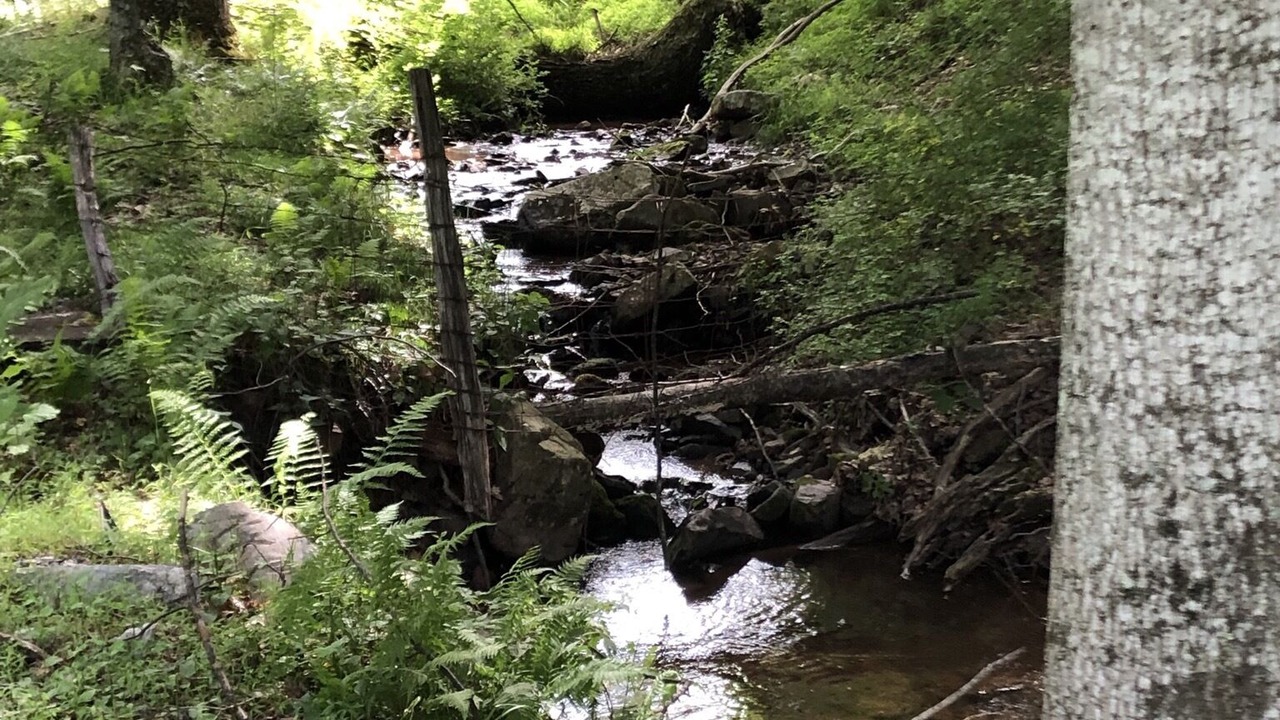 Photo of Outdoor in Franklin