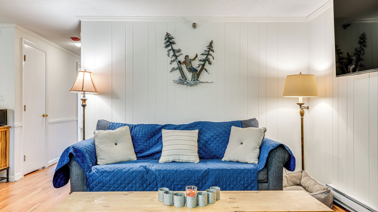 Photo of Livingroom in Bromley Mountain