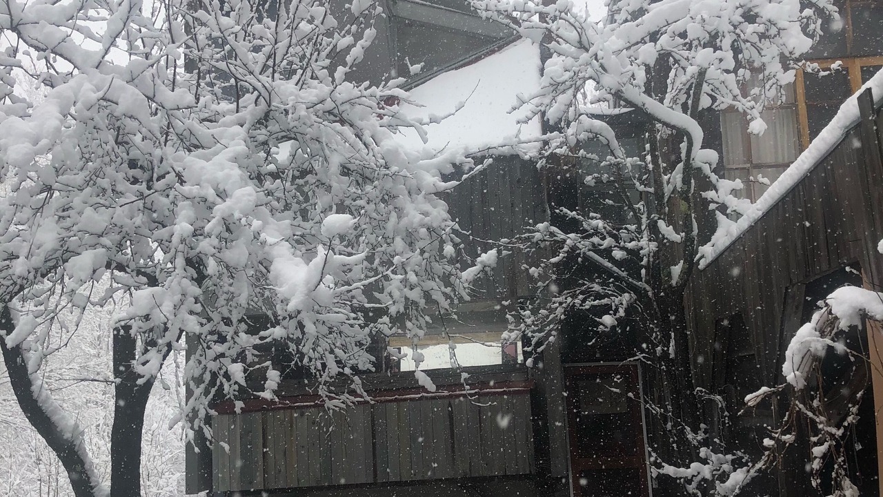 Photo of Outdoor in Warren