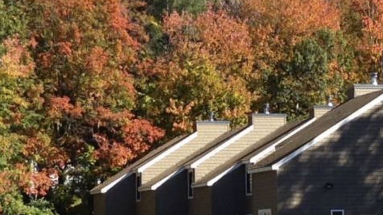 Photo of Outdoor in Intervale