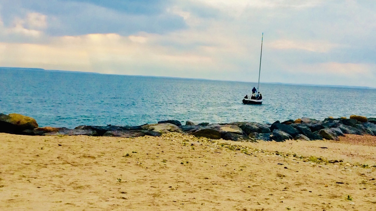 Photo of Others in Clearwater Beach