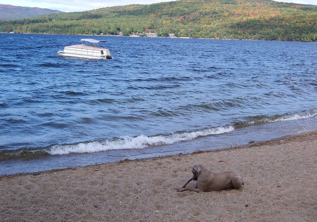 Photo of Others in Bridgewater