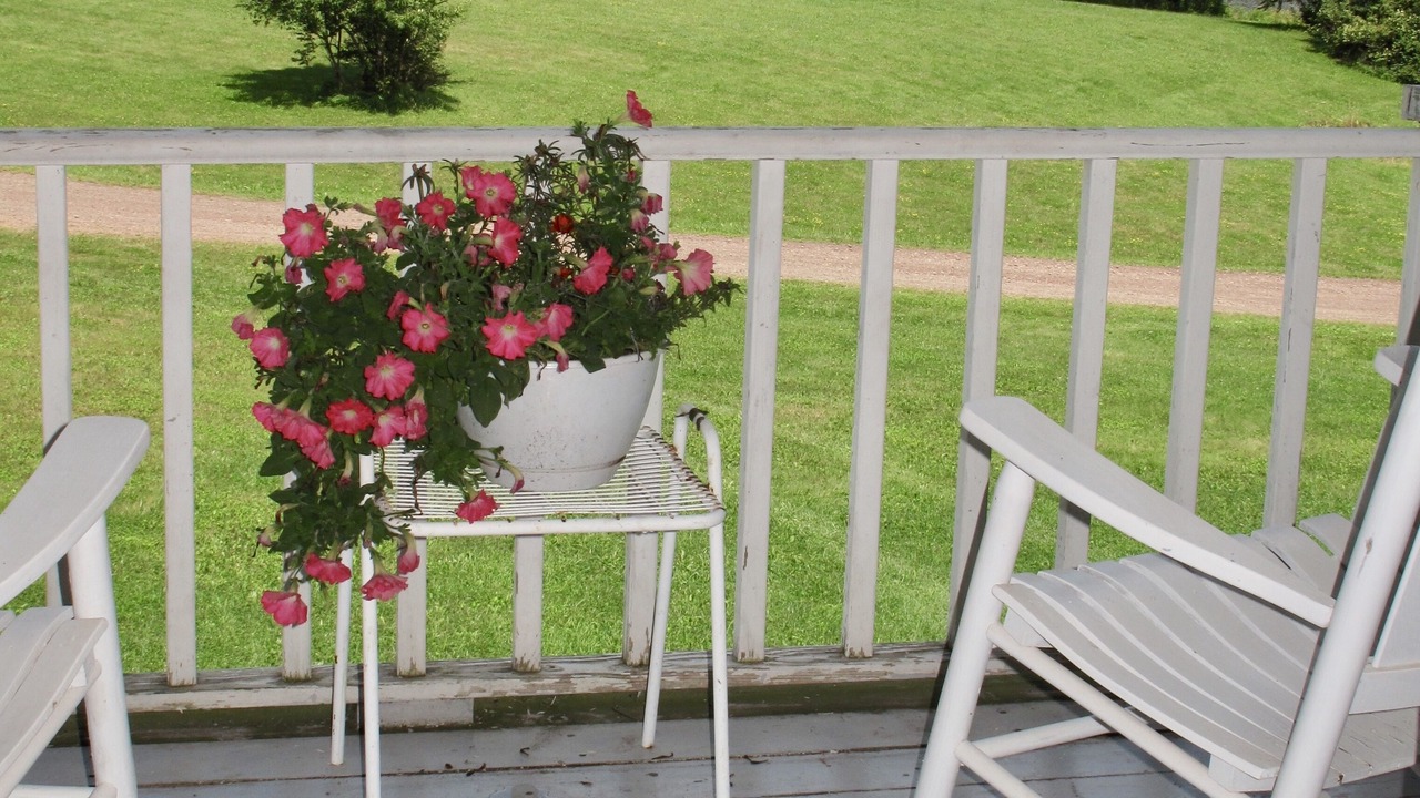 Photo of Patio Balcony in Delhi