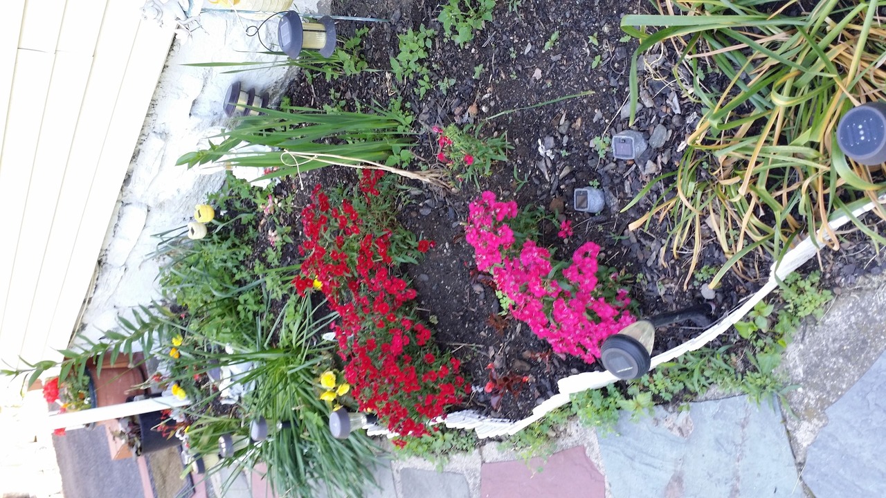 Photo of Outdoor in Eastchester