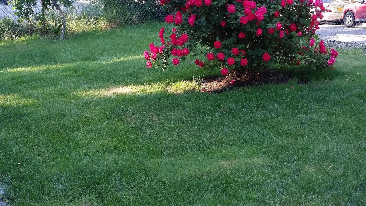 Photo of Outdoor in Eastchester