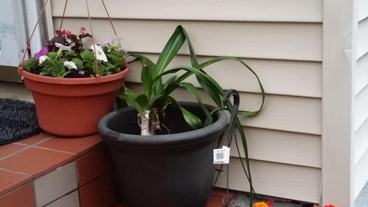 Photo of Outdoor in Eastchester