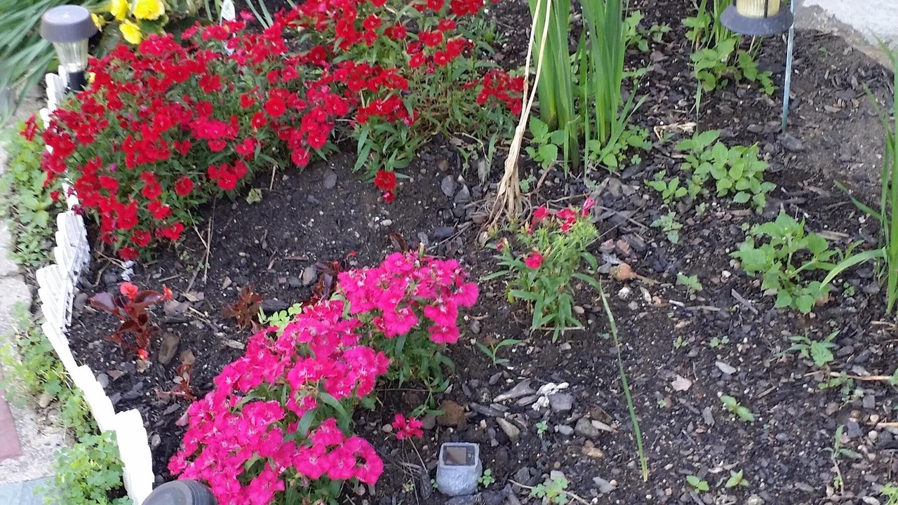 Photo of Outdoor in Eastchester