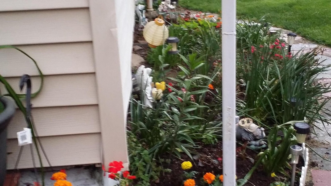 Photo of Outdoor in Eastchester