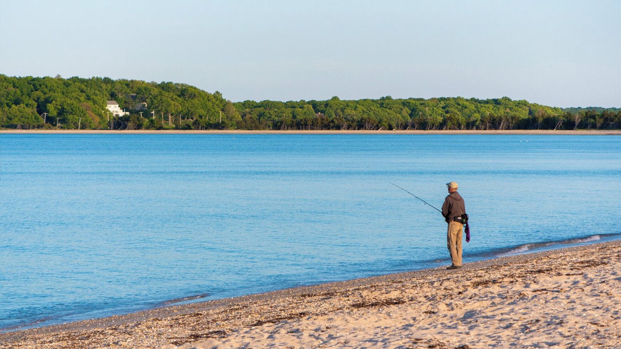 Photo of Others in Hay Beach