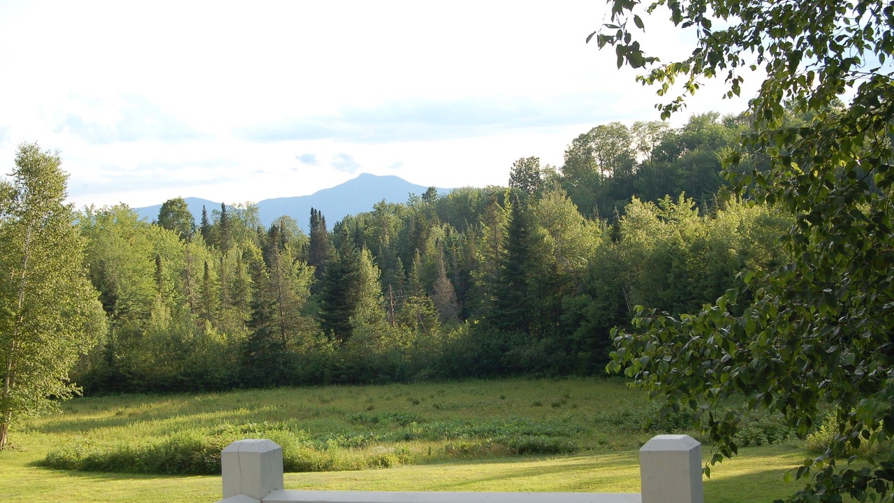 Photo of Others in Stowe Hollow