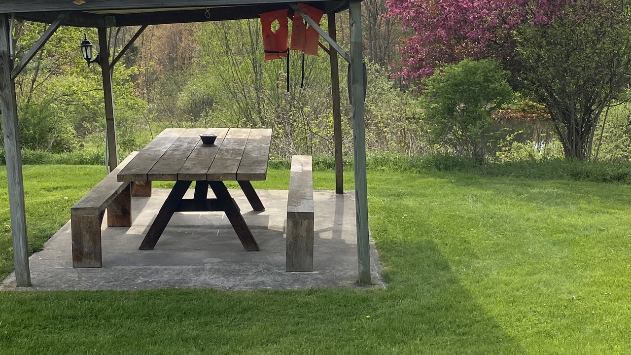 Photo of Outdoor in Otego