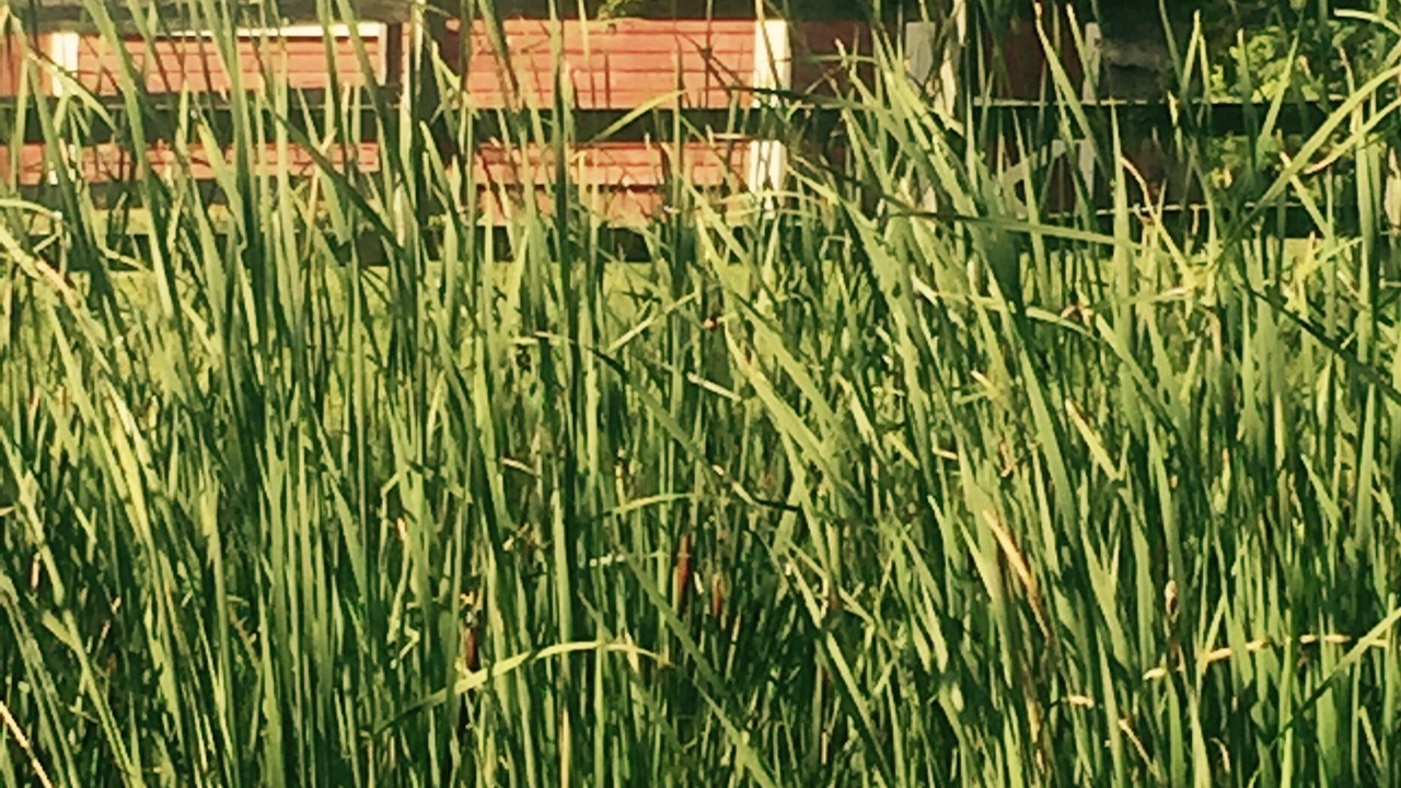Photo of Outdoor in Reading