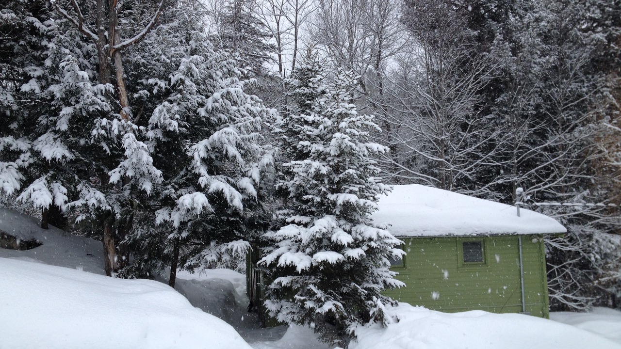 Photo of Outdoor in Northfield