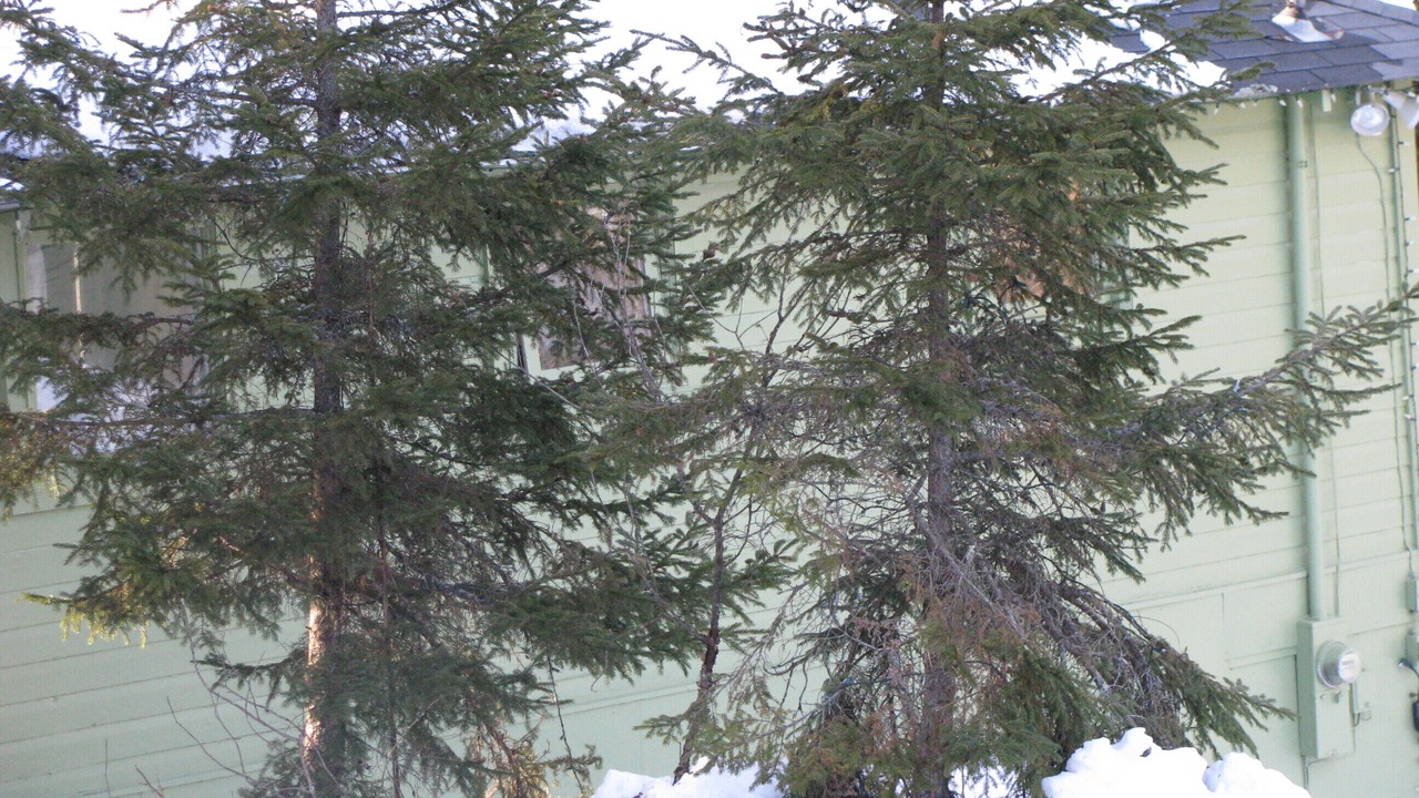 Photo of Outdoor in Northfield