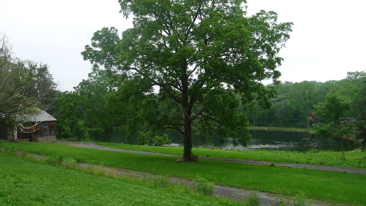 Photo of Others in Perkasie