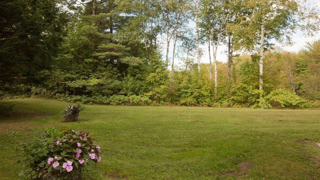 Photo of Others in Stowe Area