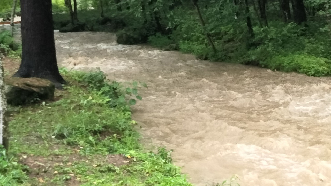 Photo of Others in Allegany