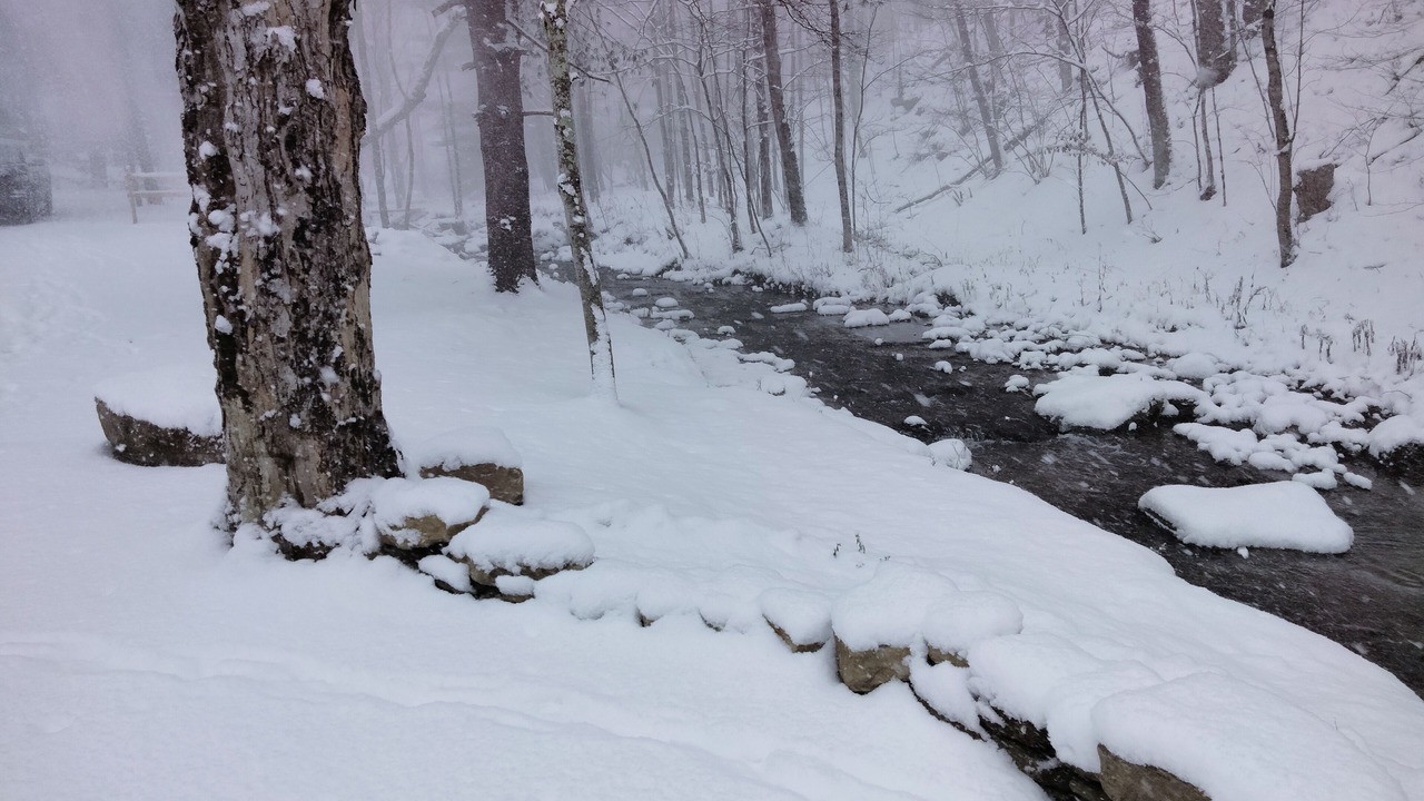 Photo of Others in Allegany