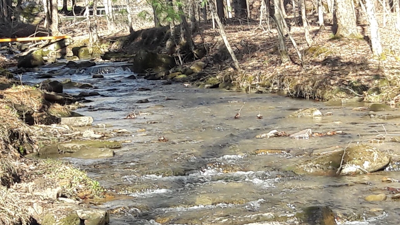 Photo of Outdoor in Allegany
