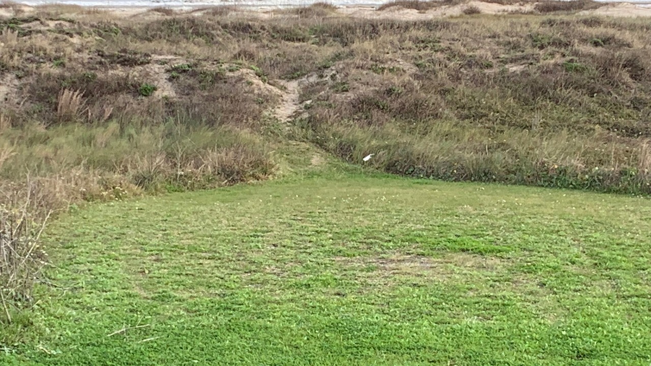 Photo of Others in Matagorda