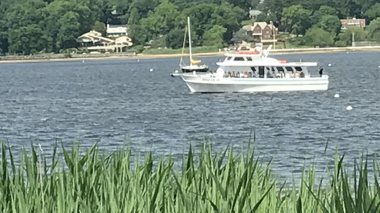 Photo of Others in Port Washington