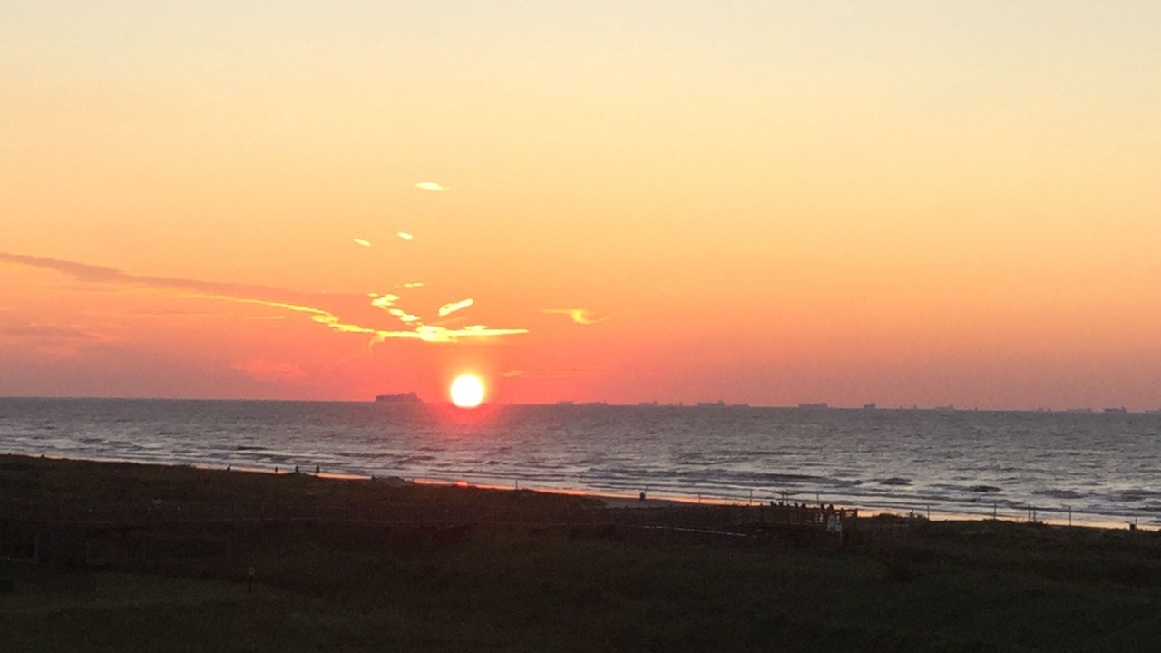 Photo of Others in Galveston