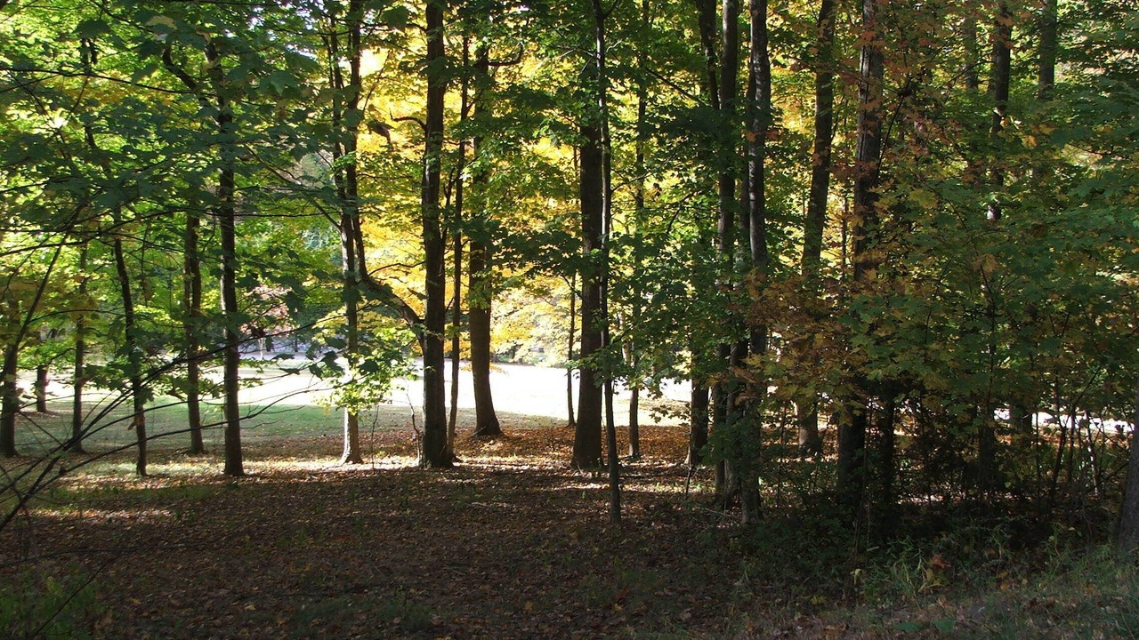 Photo of Outdoor in Lansing