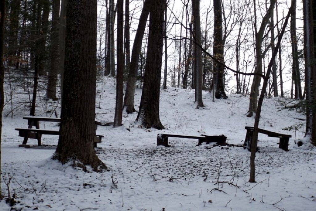 Photo of Outdoor in Lansing