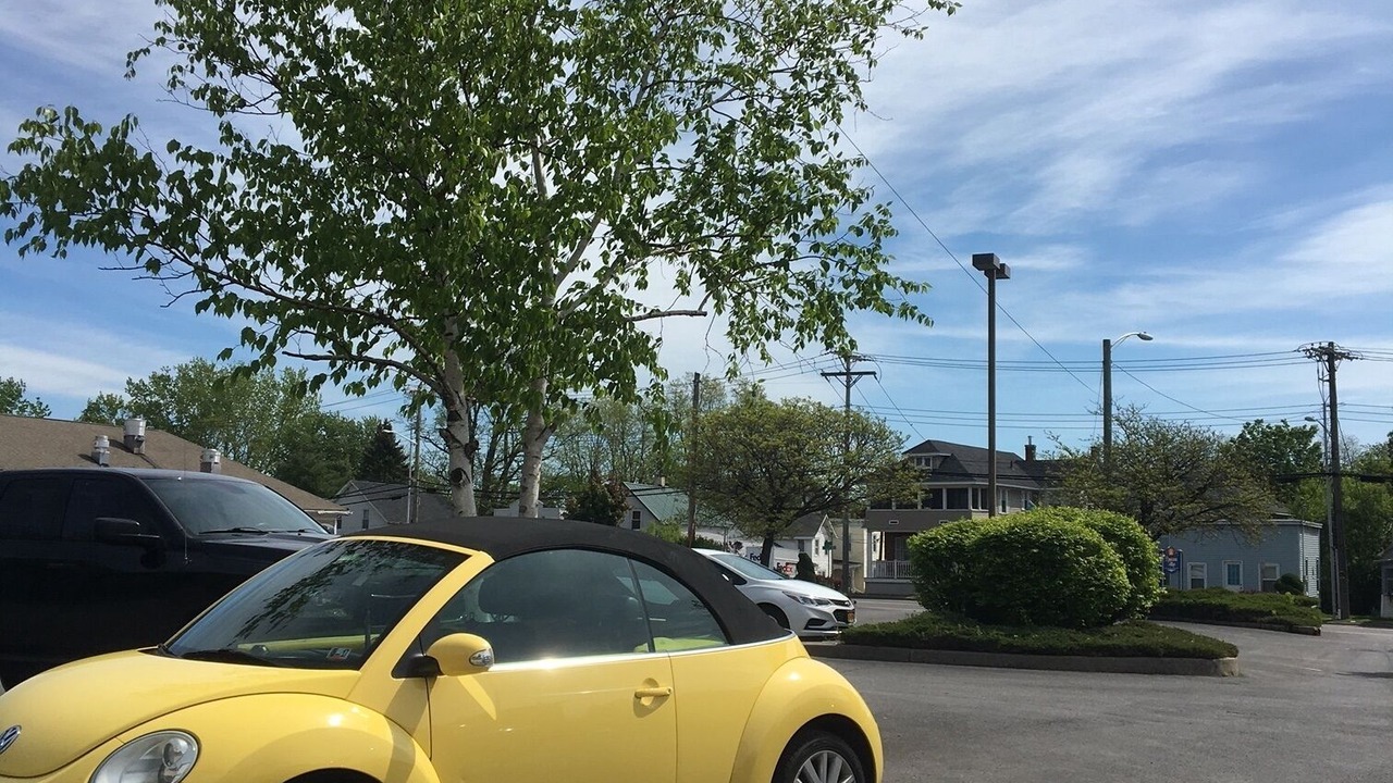 Photo of Outdoor in Plattsburgh