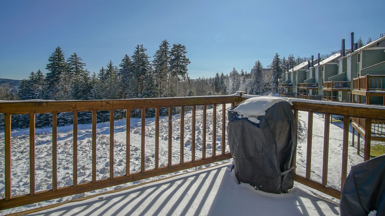 Photo of Others in Snowshoe